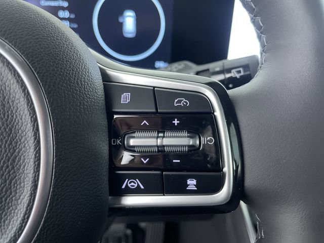 New 2026 Kia Carnival SX Prestige image 31
