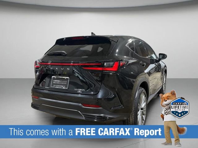 Used 2023 Lexus NX 350h AWD w/ Vision Package image 5