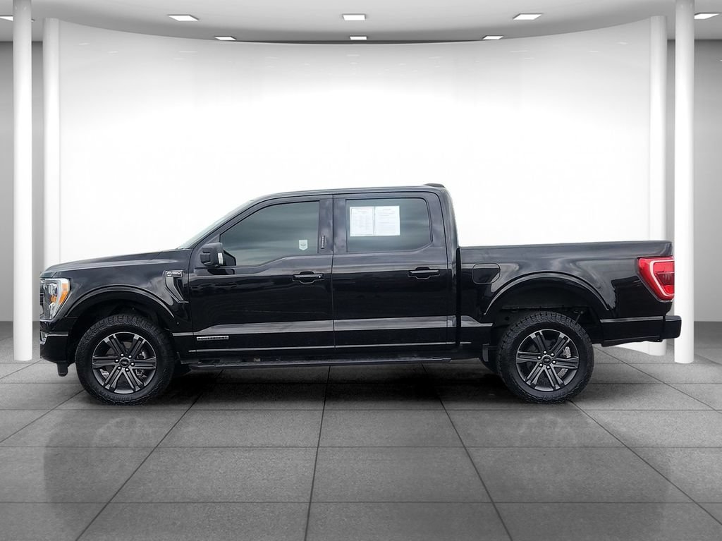 Used 2023 Ford F150 XLT w/ Equipment Group 302A High AWD/4WD image 4