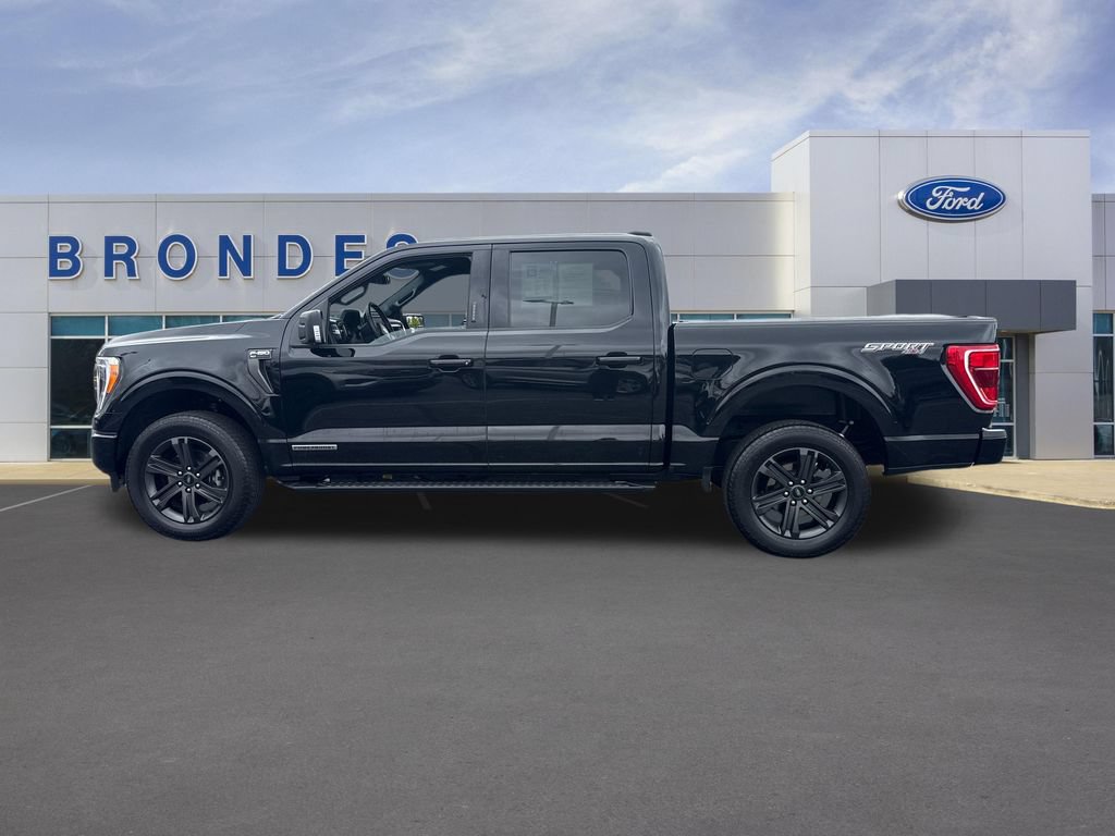 Used 2023 Ford F150 XLT w/ Equipment Group 302A High