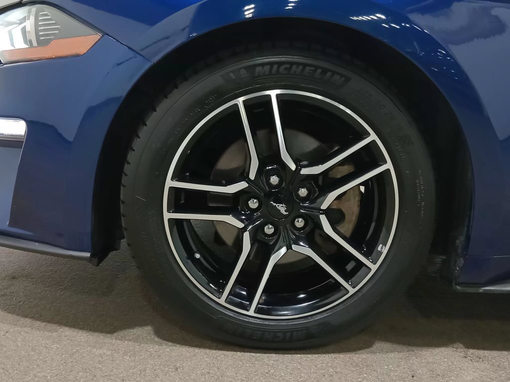 Used 2018 Ford Mustang Premium w/ Equipment Group 201A RWD image 13