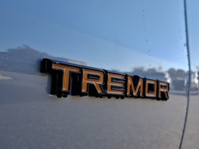 New 2025 Ford Expedition Tremor image 10