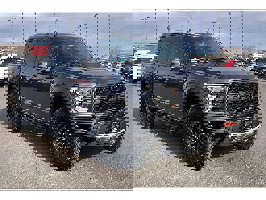 Used 2019 Ford F150 Raptor w/ Equipment Group 802A Luxury image 2