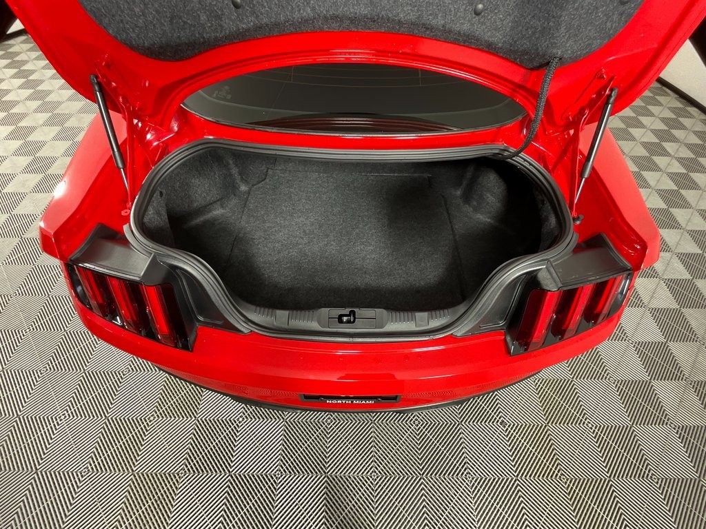 Used 2017 Ford Mustang Shelby GT350R image 18