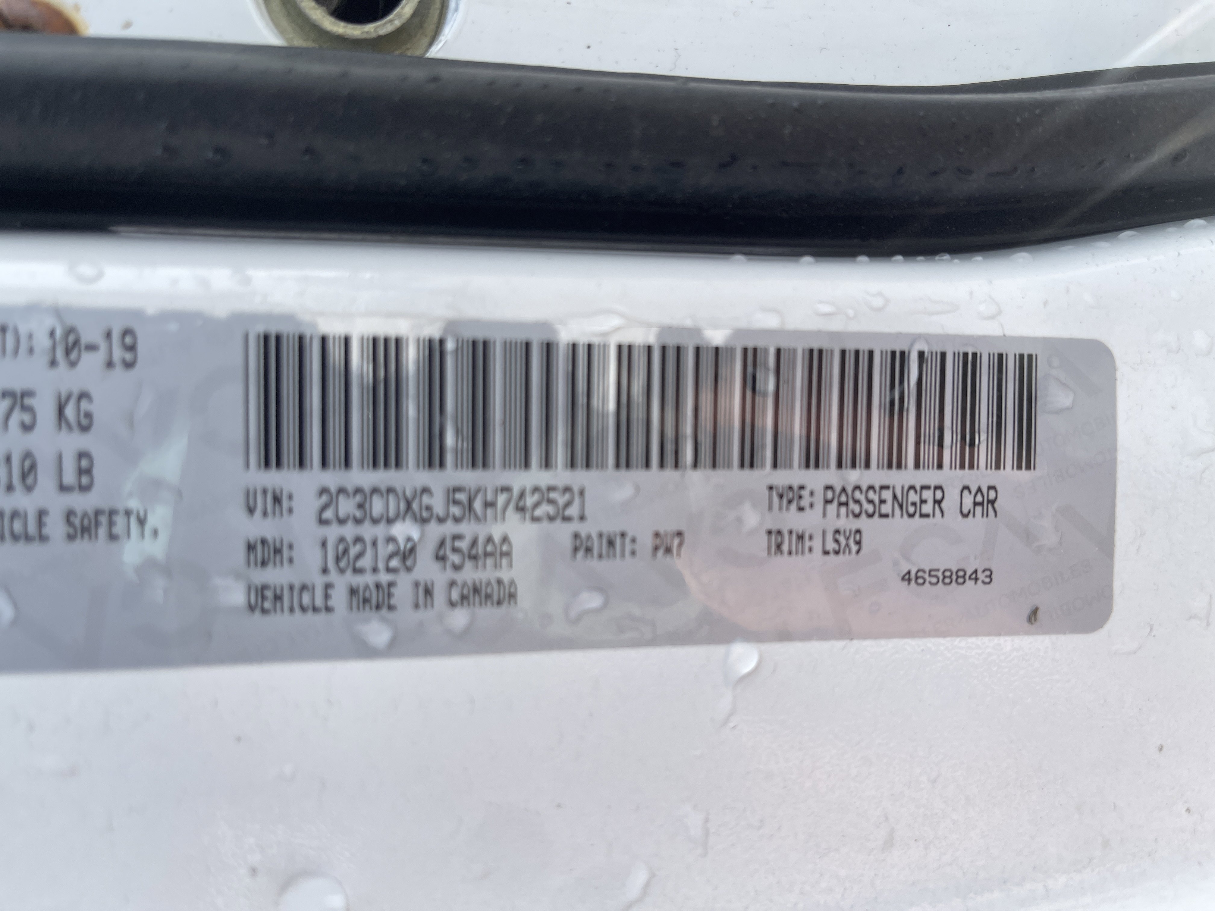 Used 2019 Dodge Charger Scat Pack image 5