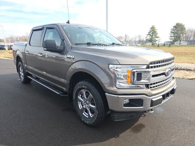 Certified 2019 Ford F150 XLT w/ Equipment Group 302A Luxury image 1