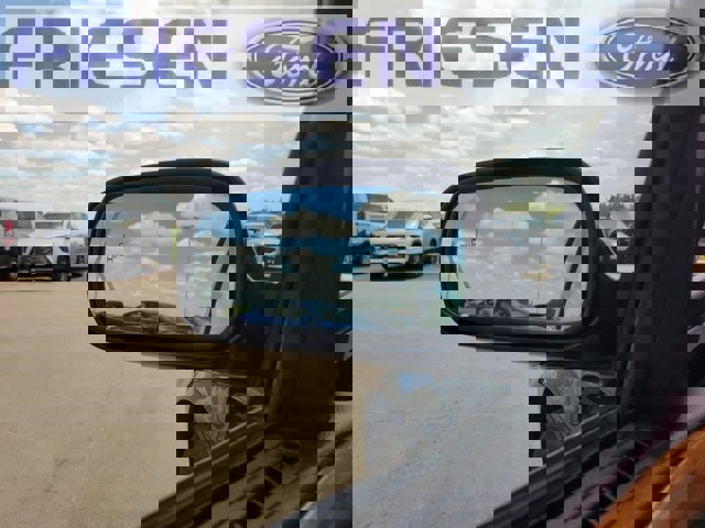 Used 2010 Cadillac DTS Platinum image 22