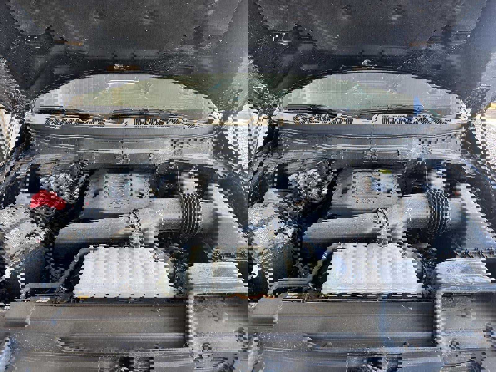 Used 2023 Ford F150 Tremor image 5