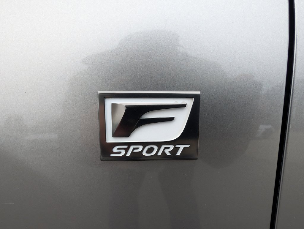 Used 2020 Lexus NX 300 F Sport image 15