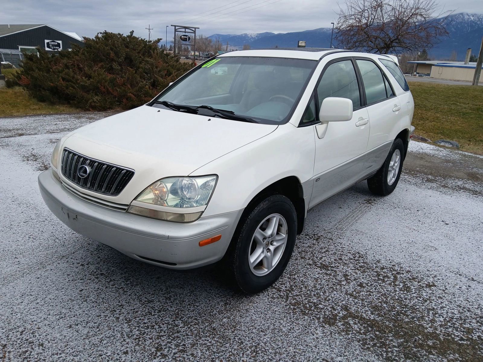 Used 2001 Lexus RX 300 RX 300 Sport Utility 4D image 1