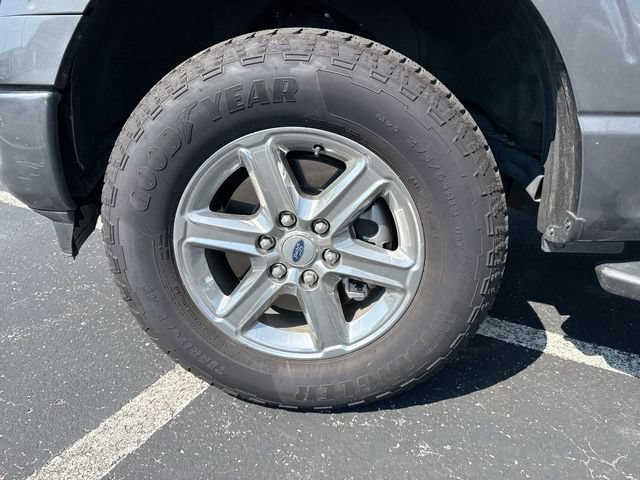 Used 2025 Ford F150 XLT w/ Equipment Group 301A Standard AWD/4WD image 10