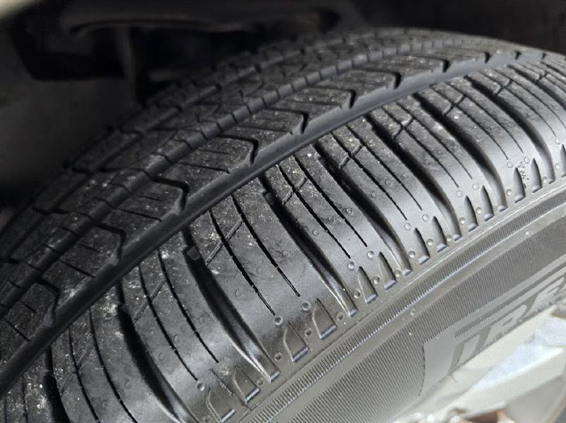 Used 2008 Toyota 4Runner Limited image 11