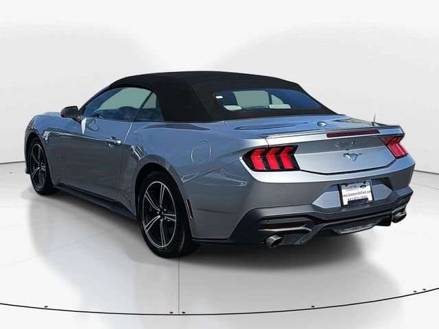 Used 2024 Ford Mustang Premium image 7