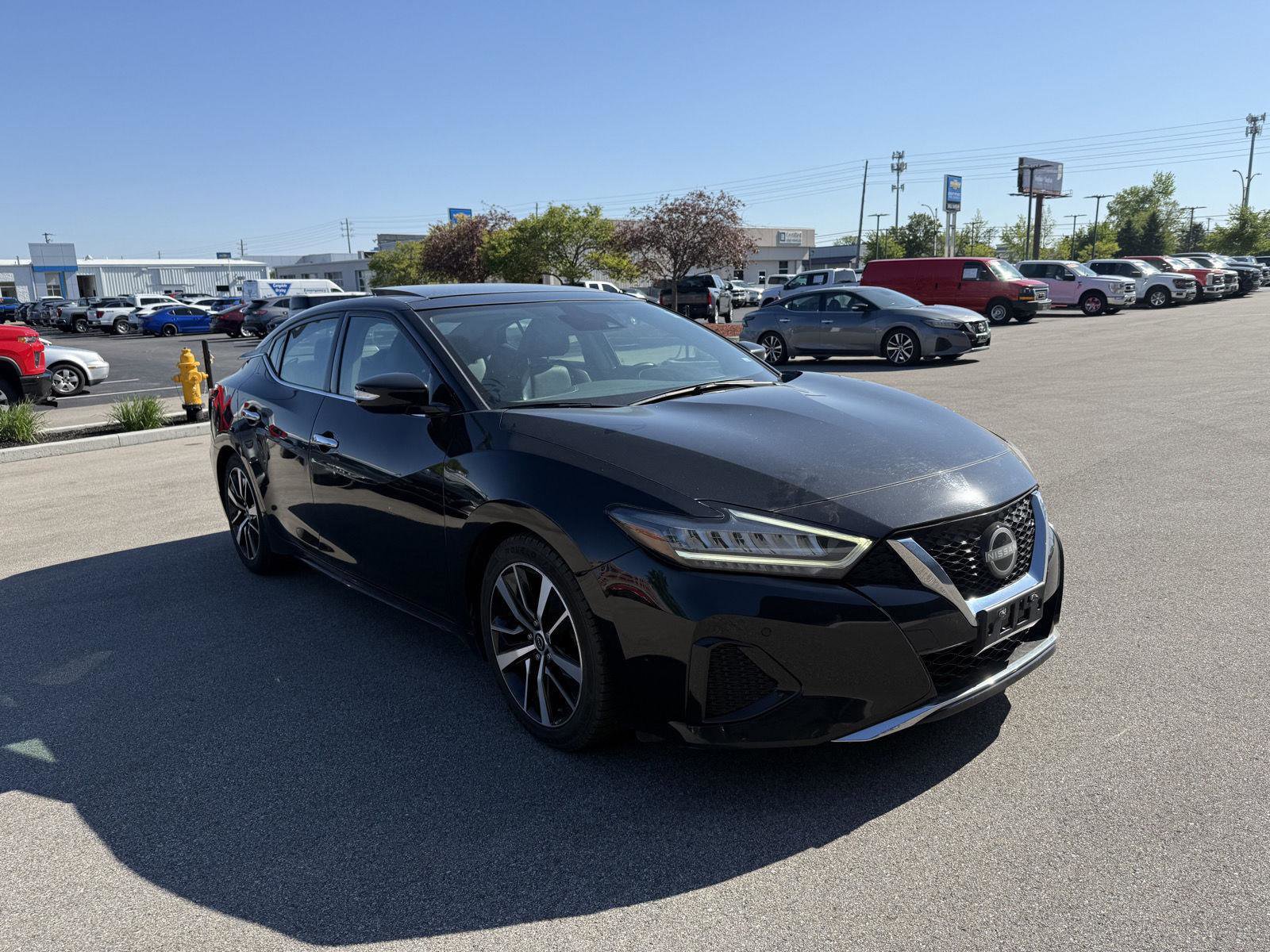 Used 2023 Nissan Maxima SL FWD image 1