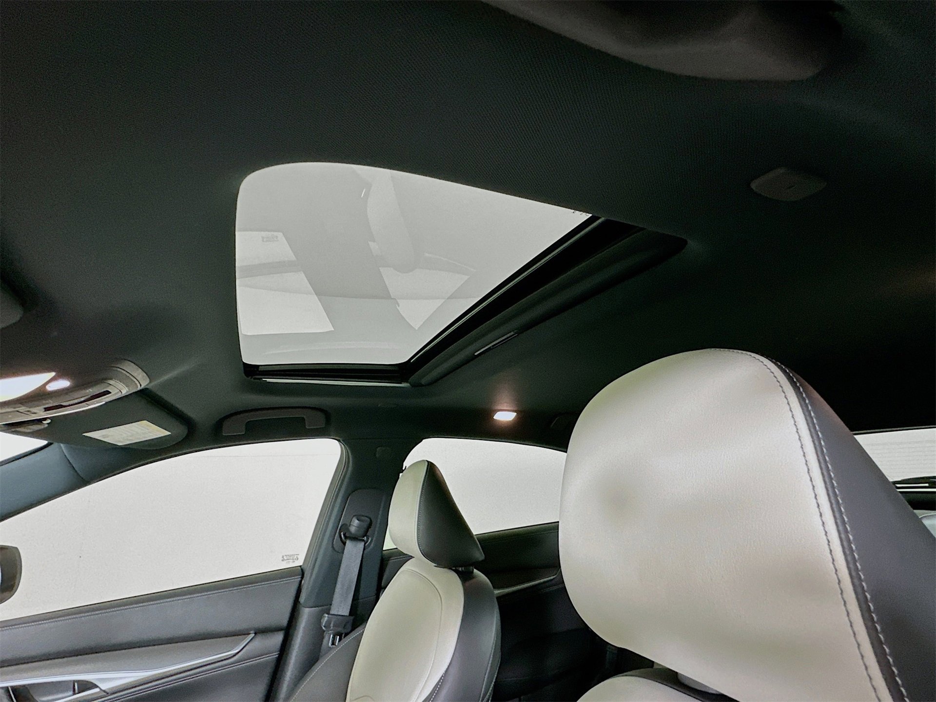 Used 2023 INFINITI QX55 Luxe w/ Cargo Package image 22