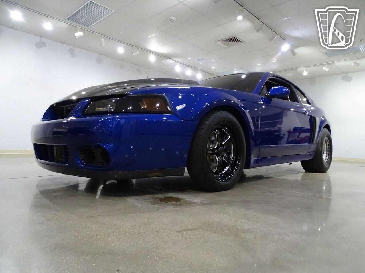 Used 2003 Ford Mustang Cobra RWD image 5