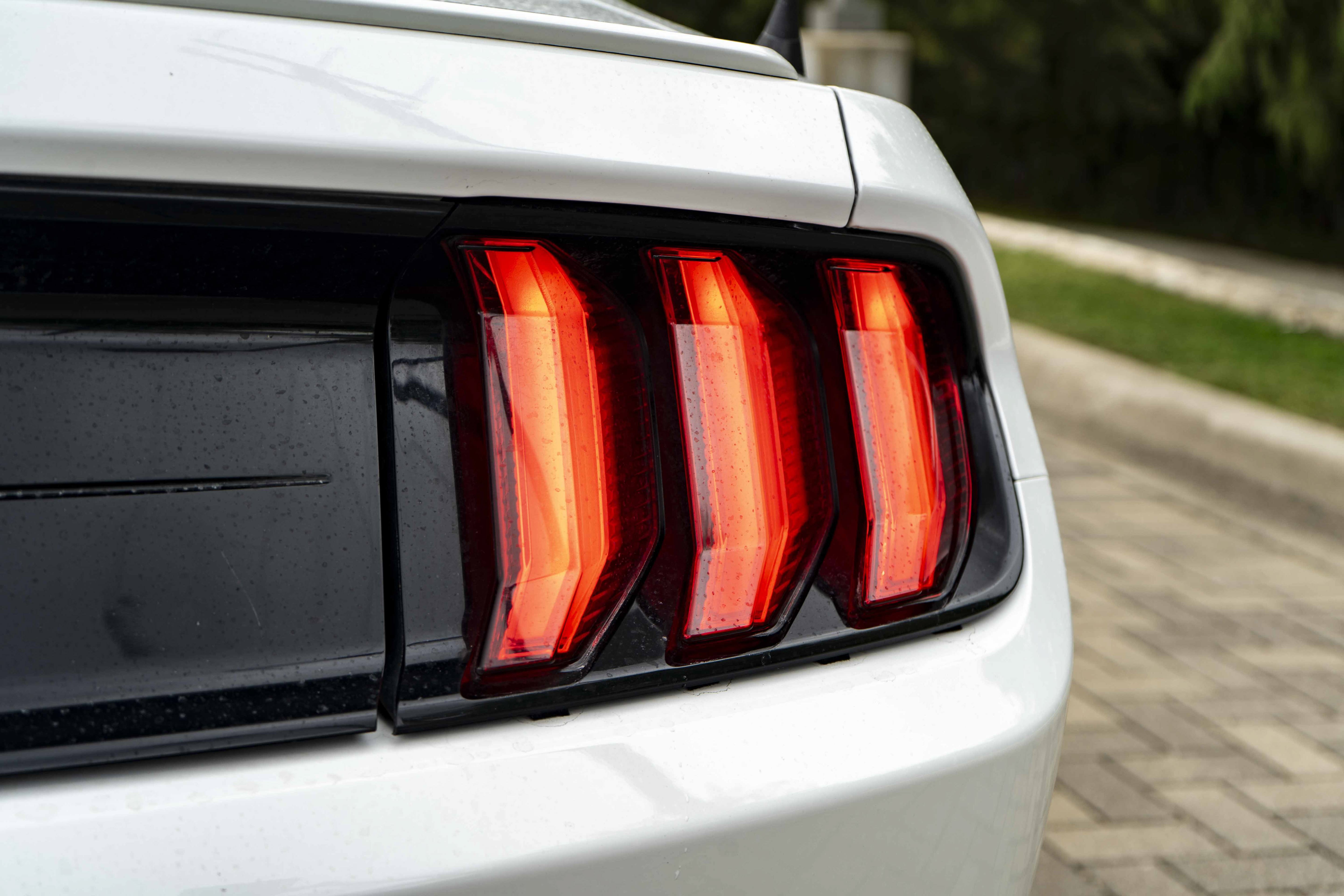 Used 2019 Ford Mustang GT Premium RWD image 13