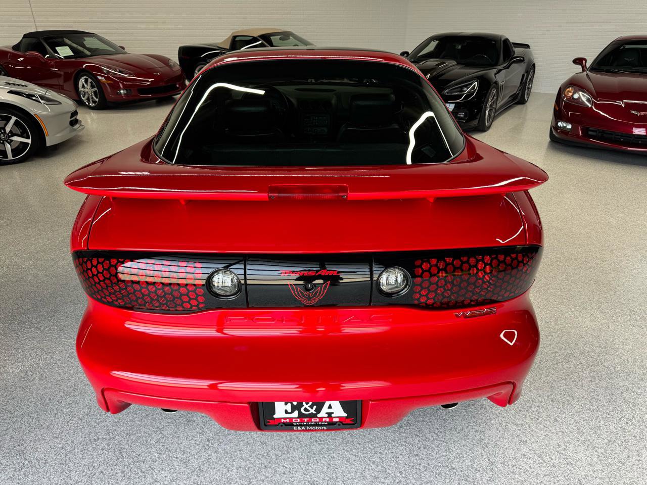 Used 2002 Pontiac Firebird Trans Am RWD image 12