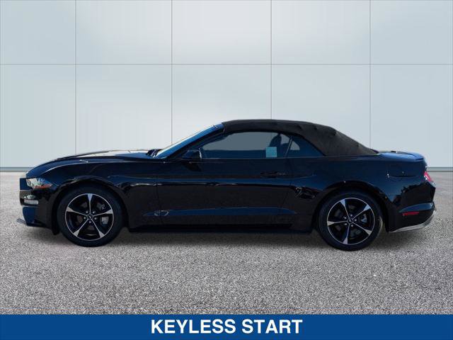 Used 2019 Ford Mustang EcoBoost w/ Equipment Group 101A image 2