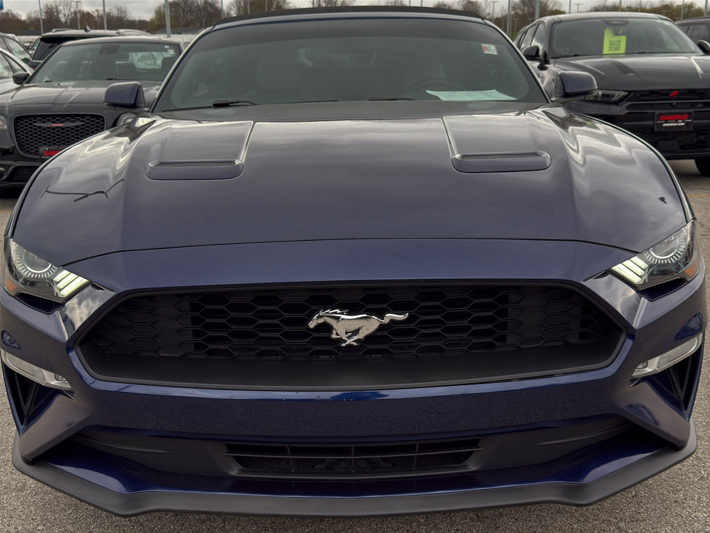 Used 2019 Ford Mustang Premium RWD image 3