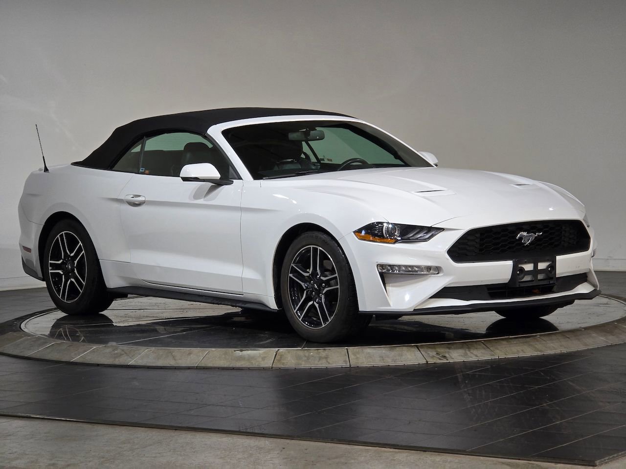 Used 2018 Ford Mustang Premium w/ Equipment Group 201A image 2