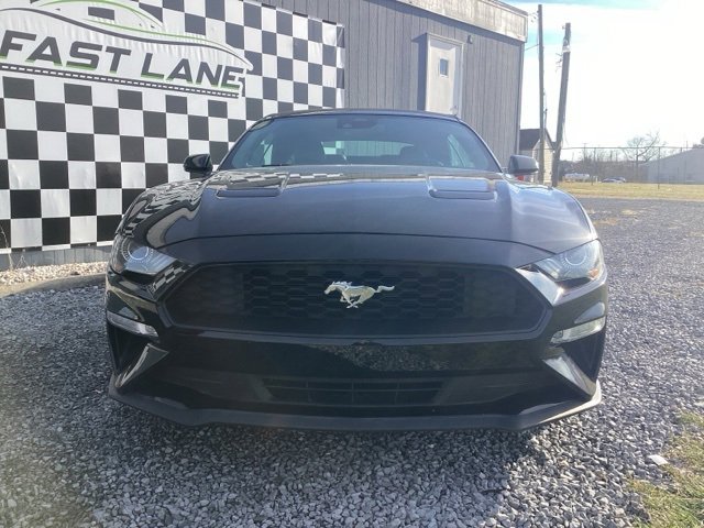 Used 2021 Ford Mustang Premium image 4