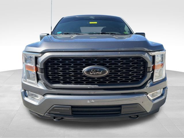Used 2022 Ford F150 XL w/ STX Black Appearance Package AWD/4WD image 2