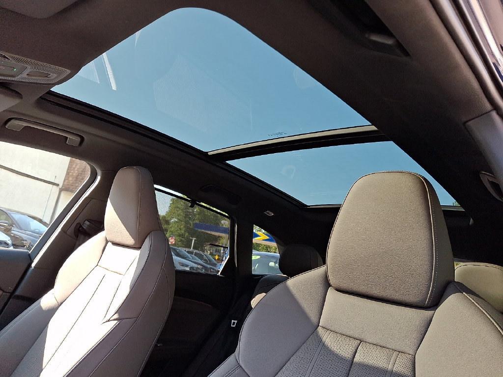 Certified 2025 Audi Q5 Premium Plus w/ Premium Plus AWD/4WD image 15