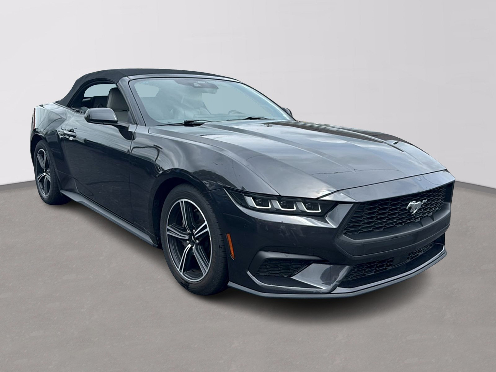 Used 2024 Ford Mustang Premium RWD image 2