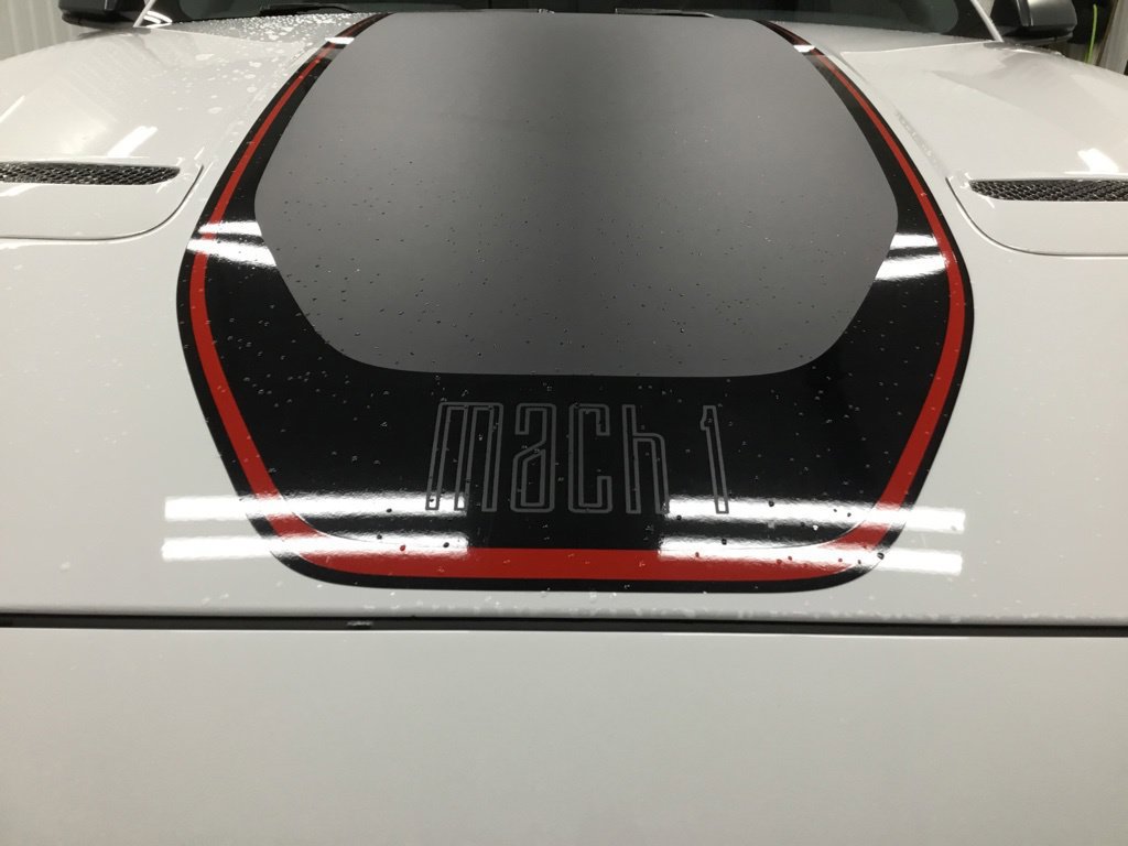 Used 2021 Ford Mustang Mach 1 w/ Equipment Group 700A RWD image 4