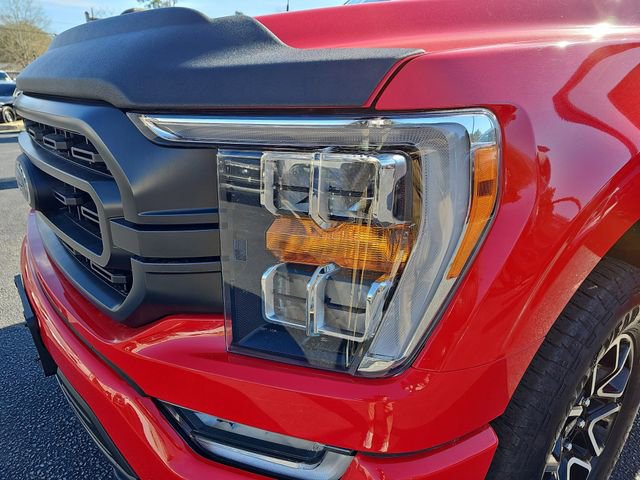 Used 2023 Ford F150 XLT w/ Equipment Group 302A High image 31