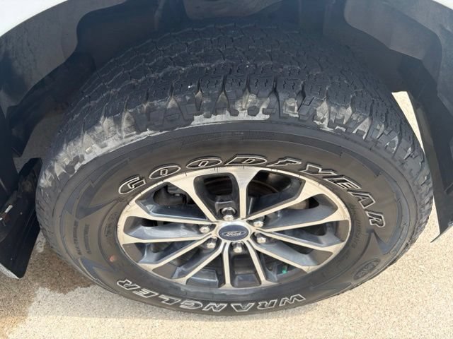 Used 2019 Ford F150 XLT w/ Equipment Group 302A Luxury AWD/4WD image 20
