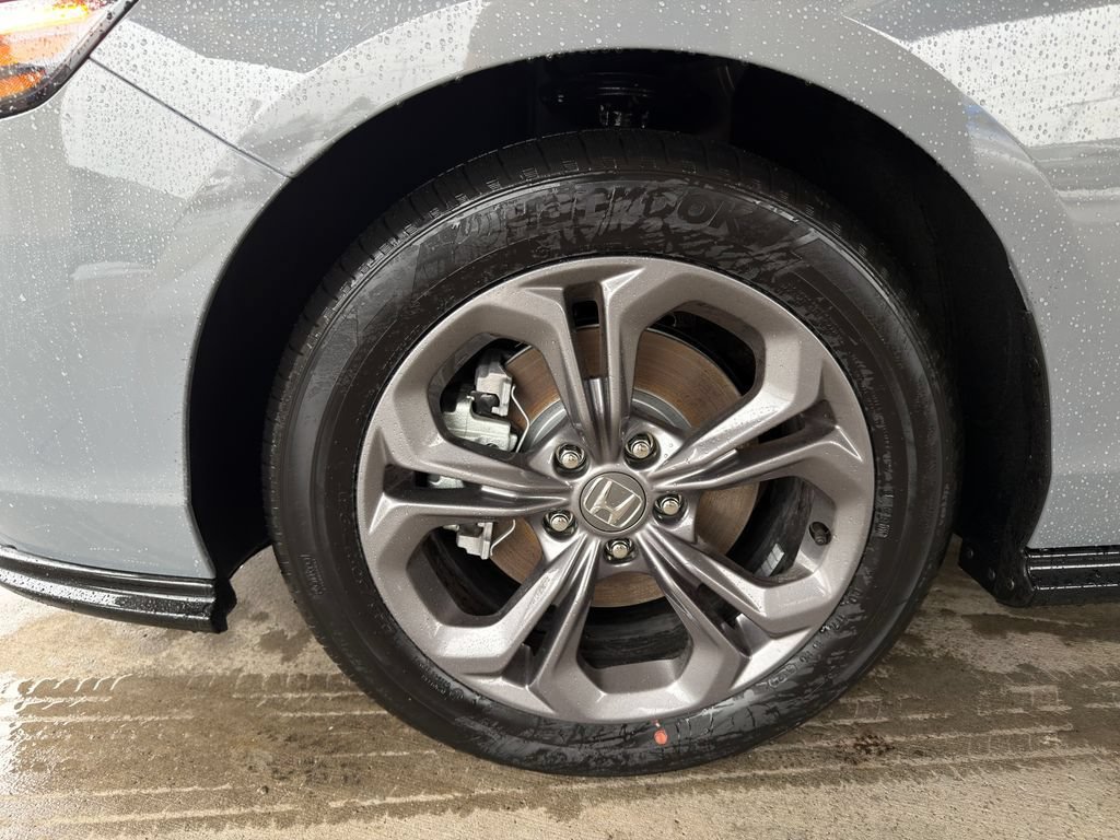 Used 2026 Honda Accord EX-L image 10