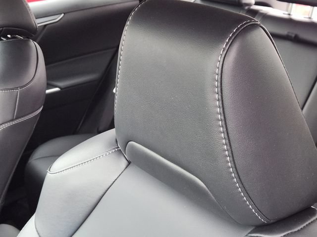 Certified 2025 Toyota RAV4 XLE Premium FWD image 13