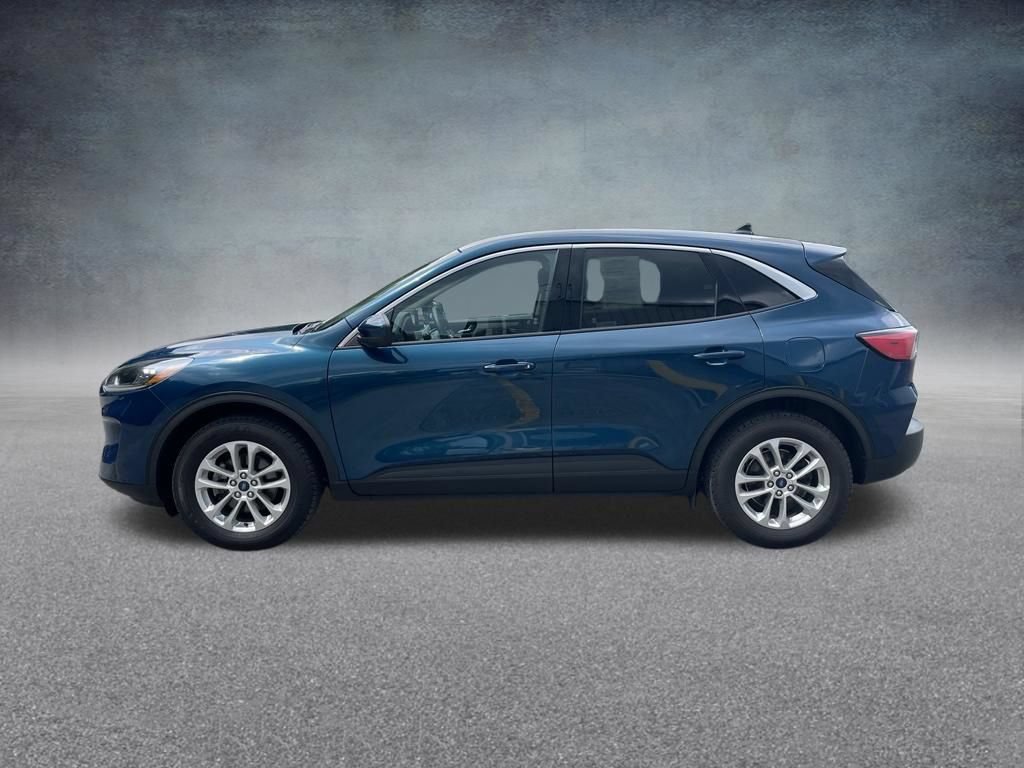 Used 2020 Ford Escape SE AWD/4WD image 5