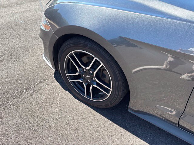 Used 2018 Ford Mustang Premium RWD image 4