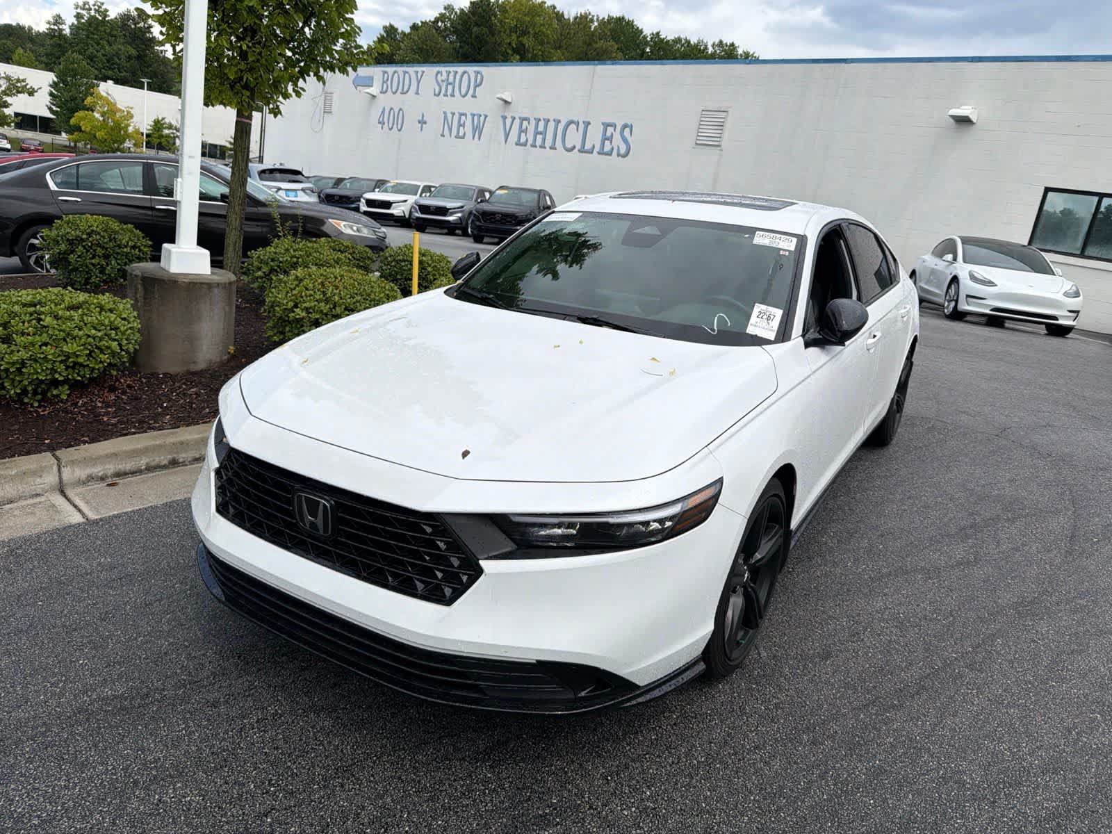 Used 2025 Honda Accord Sport image 3