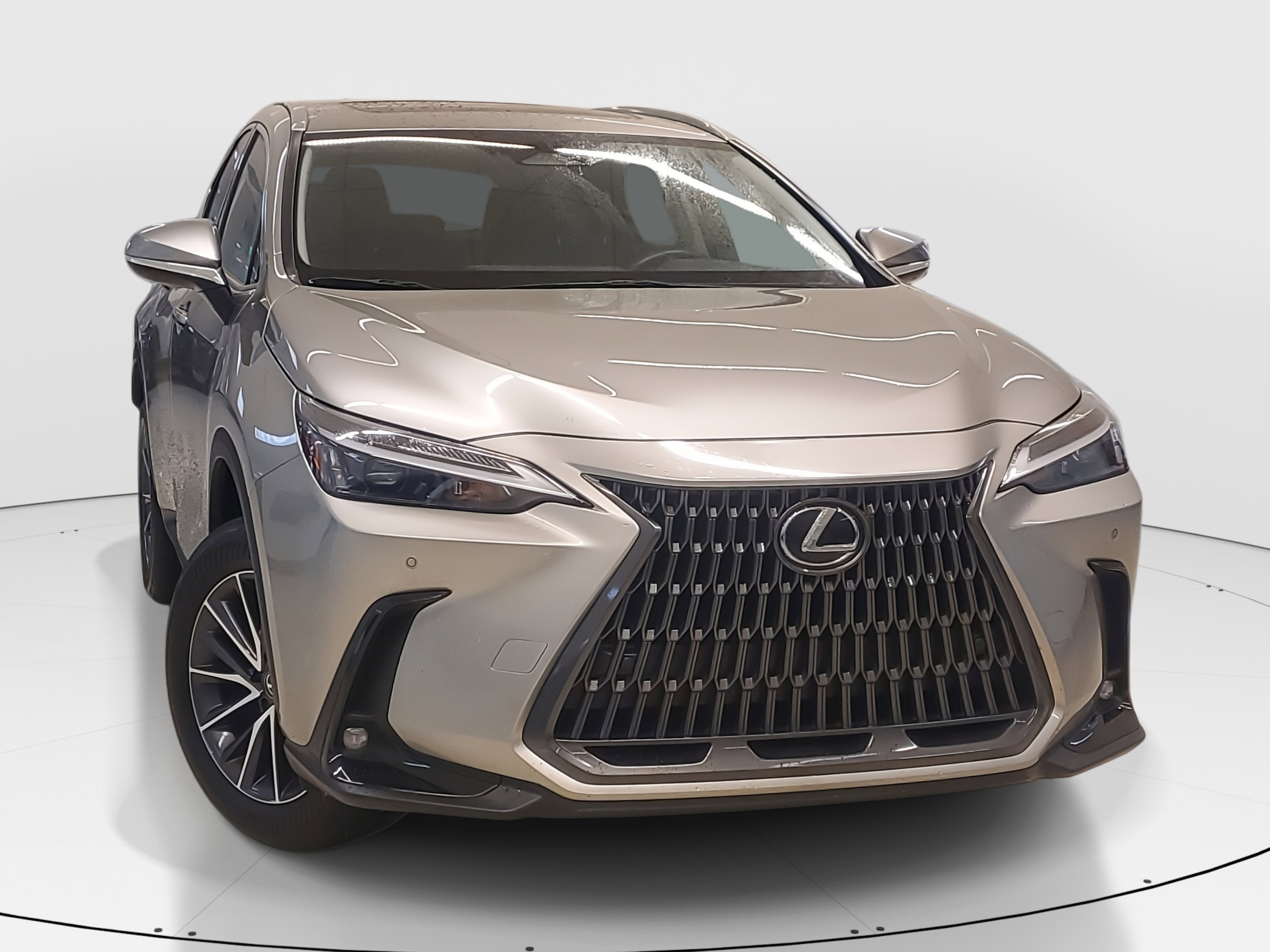 Certified 2025 Lexus NX 250 FWD w/ Premium Package image 2