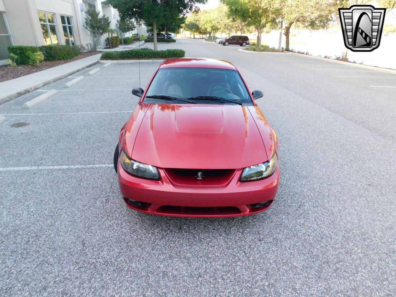 Used 2001 Ford Mustang Cobra image 26