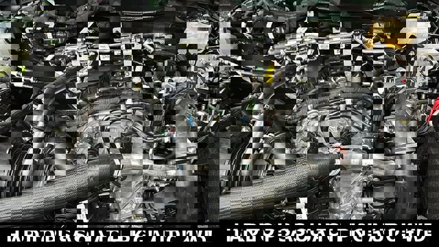 New 2025 Ford Bronco 4-Door w/ Sasquatch Package image 31