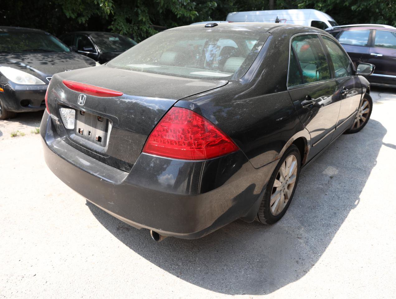 Used 2007 Honda Accord EX-L image 6