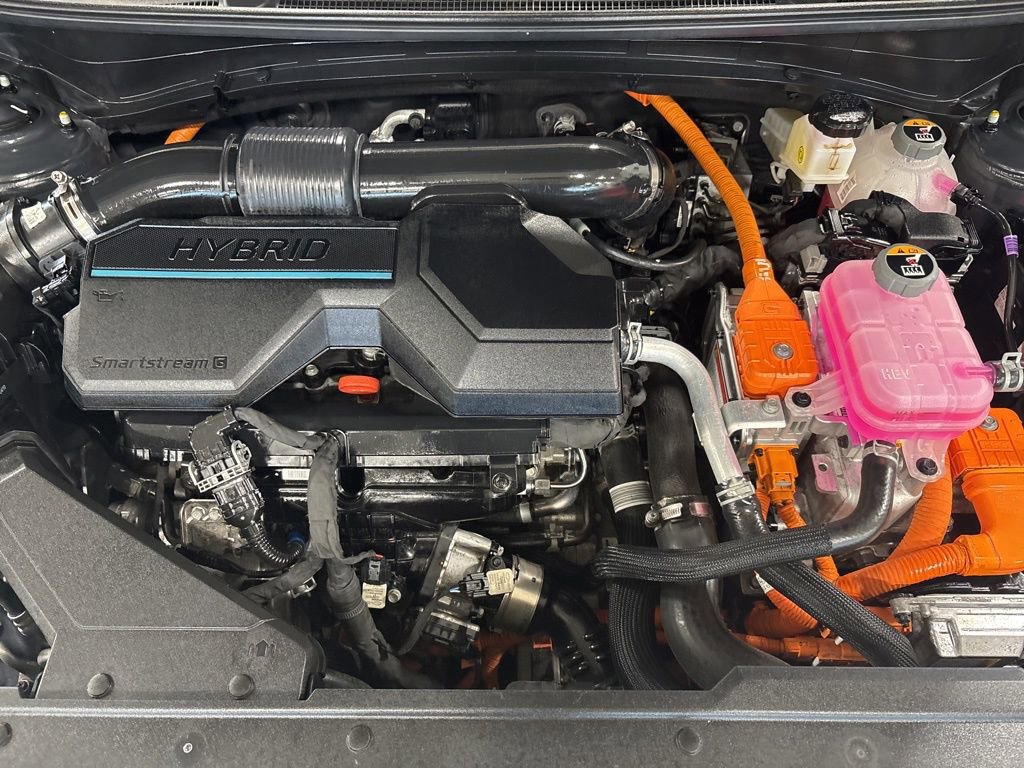 Certified 2024 Kia Sportage LX image 13