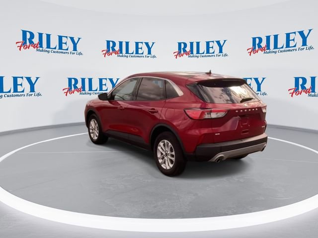 Used 2022 Ford Escape SE w/ Cold Weather Package AWD/4WD image 7