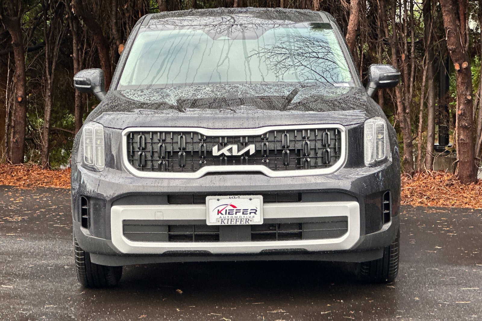 New 2025 Kia Telluride LX image 5