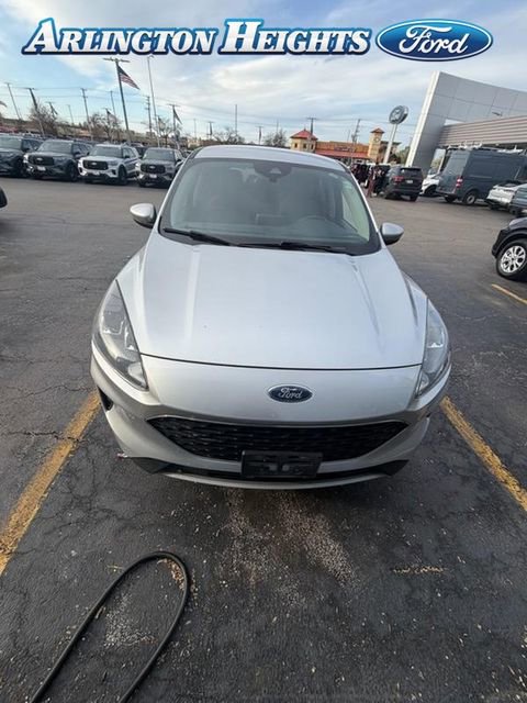 Used 2020 Ford Escape SE image 1