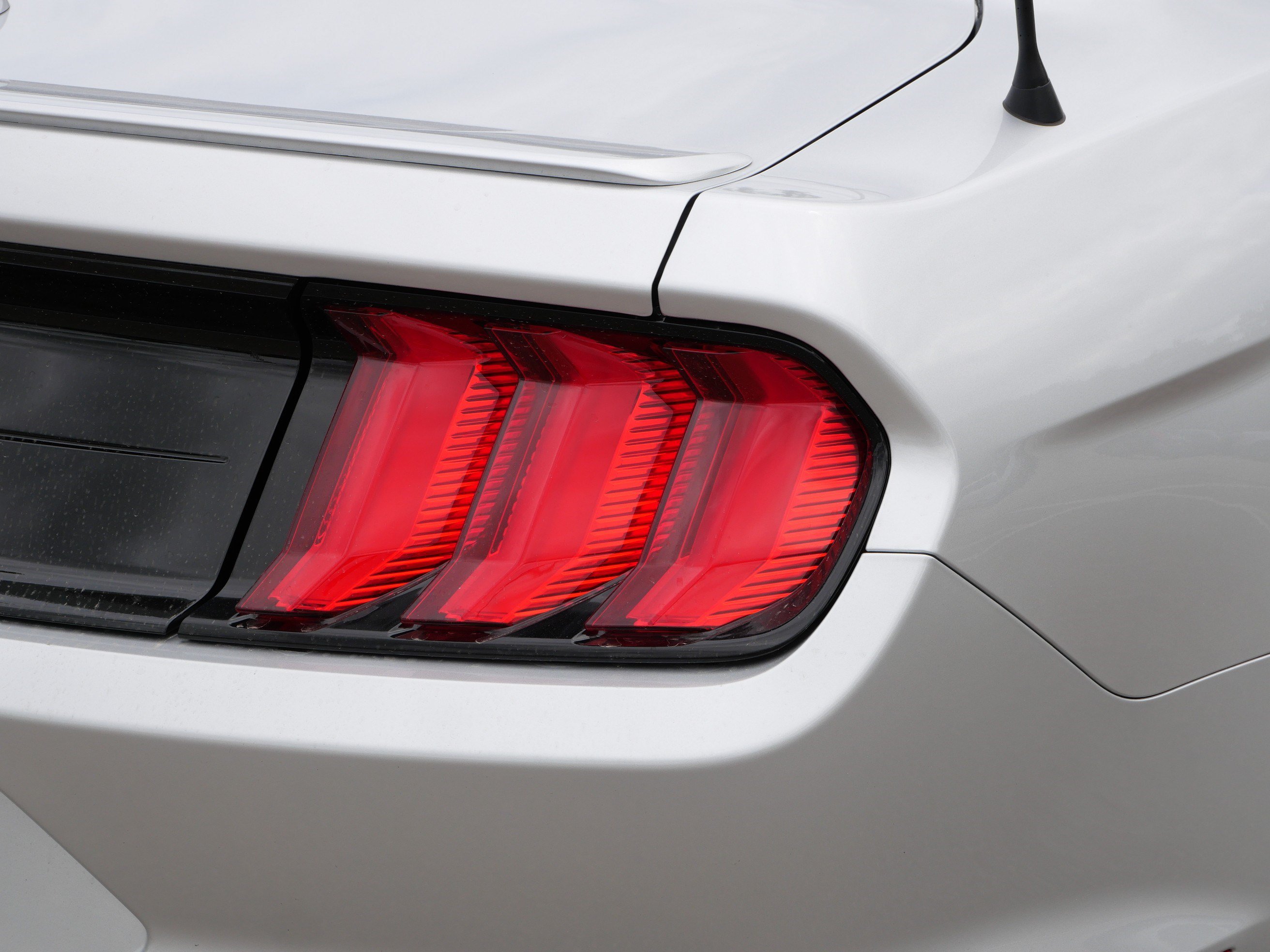 Used 2019 Ford Mustang GT Premium w/ Equipment Group 401A RWD image 17