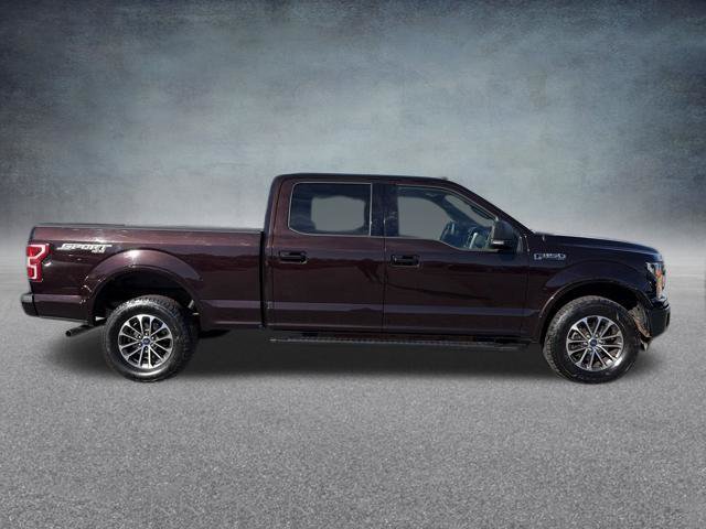 Used 2019 Ford F150 XLT w/ Equipment Group 302A Luxury AWD/4WD image 6