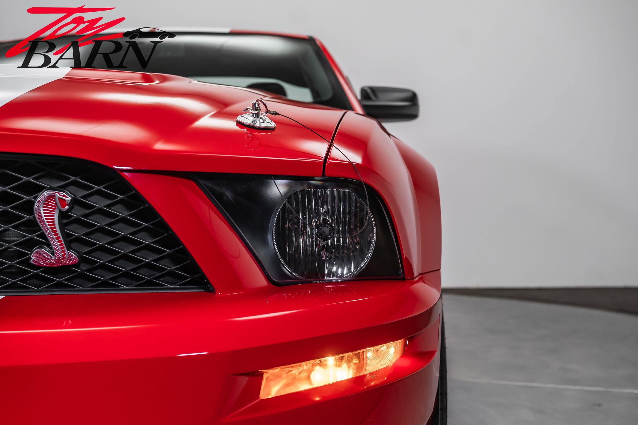 Used 2008 Ford Mustang Shelby GT500 image 10