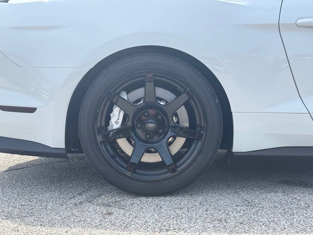 Used 2019 Ford Mustang Shelby GT350 w/ Technology Package RWD image 11