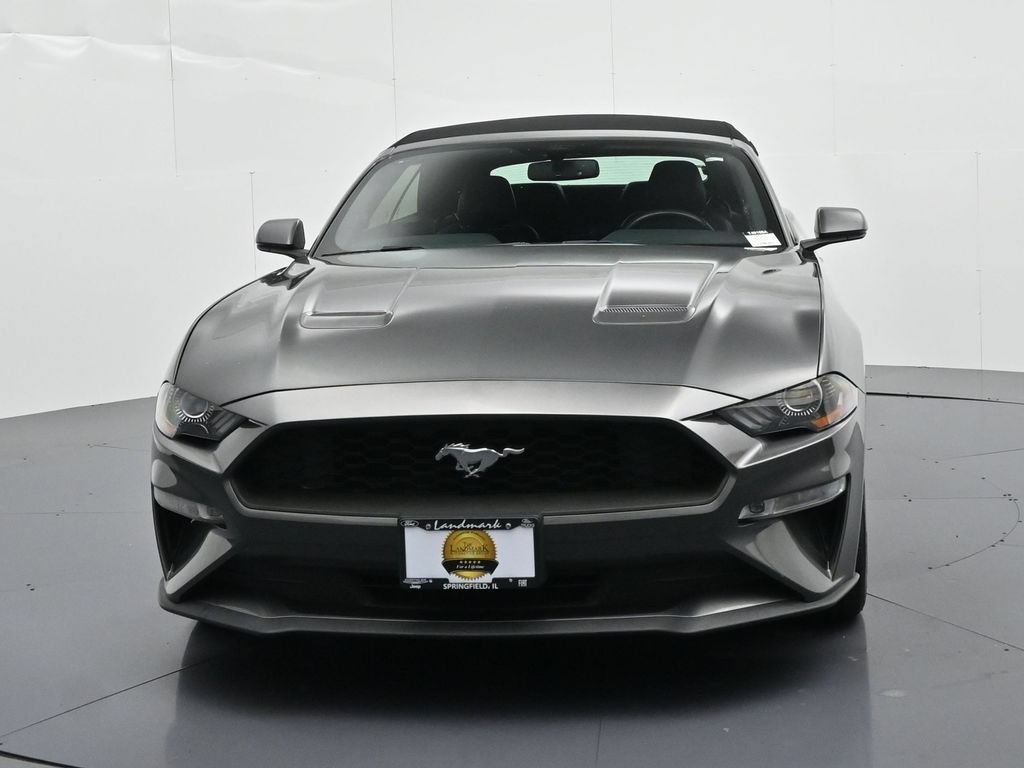 Certified 2019 Ford Mustang Premium RWD image 3